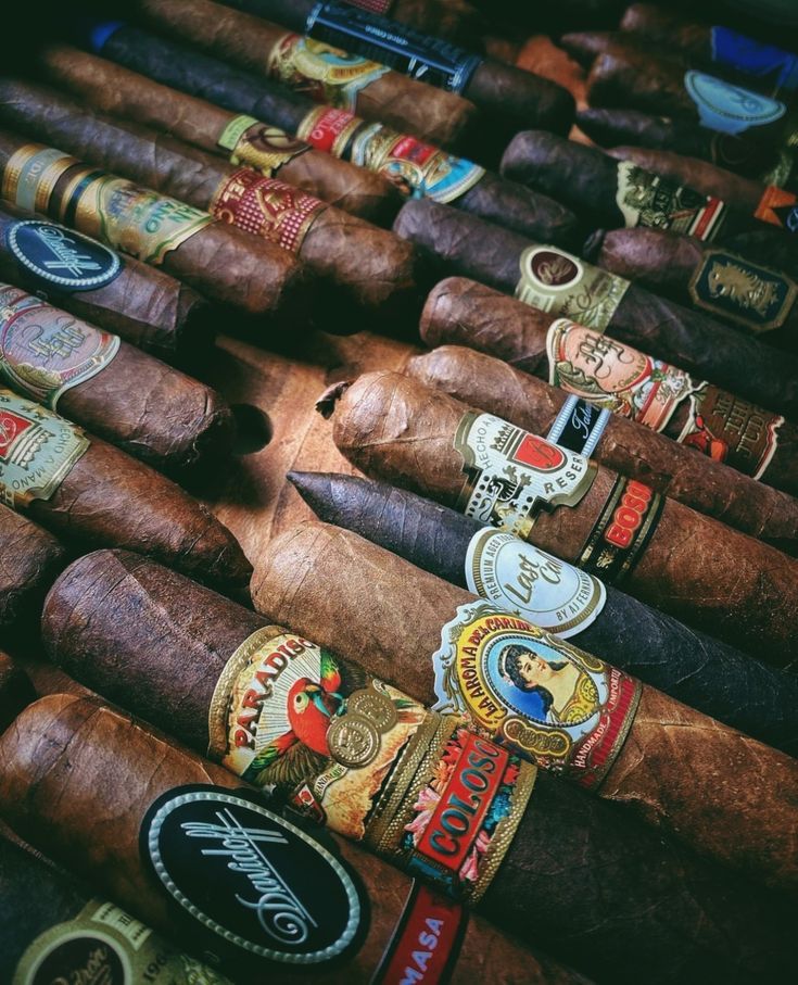 Premium cigars display